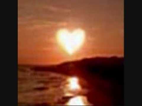 nivla kinda girl i like