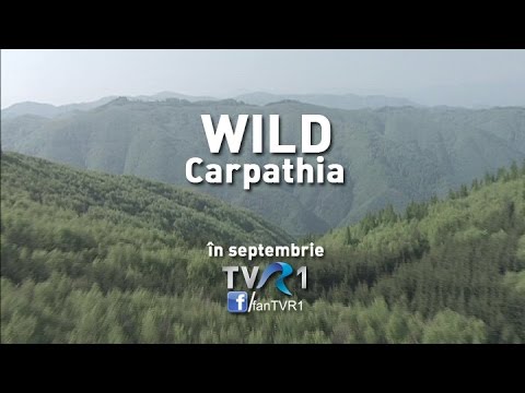 De ce sunt Carpaţii unici (@Wild Carpathia - Transilvania)