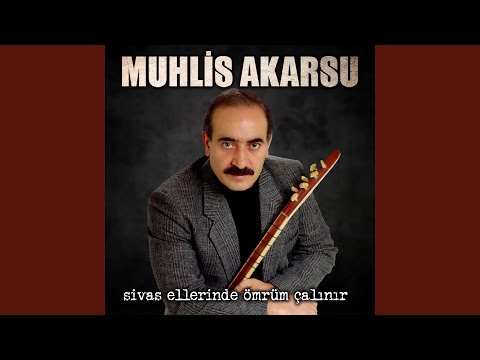 Eşinden Ayrılan Yaralı Ördek