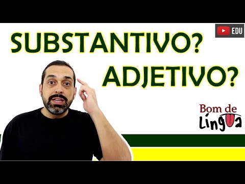 Differences between Nouns and Adjectives - #BdL