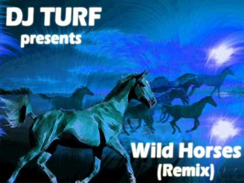 Wild Horses (Indigo Remix) - by DJ TURF