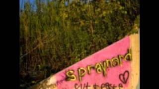 Spraynard - The Z Sealed It For Me