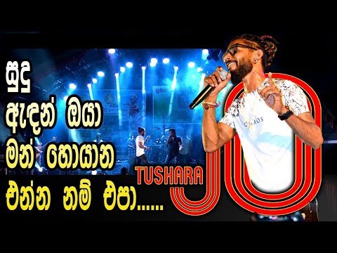 හිත ගාව හීන මාලිගේ | Thushaara JO | Hitha Gaawa Heena | Saharaflash Live in Mihintale