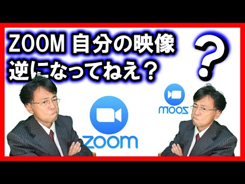 Zoom がカメラを認識しない: Zoom に画像が表示されない場合はどうすればよいですか?
