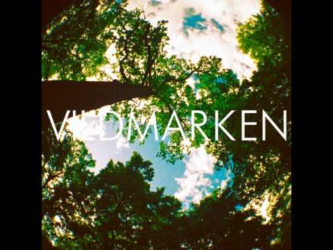 Behzad Mehrnoosh - Vinterblek