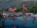 Bambi S Dance