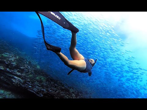 🌀🐟🌊🌪☯️ (Mermaid Liz freediving thru cyclone of fish)