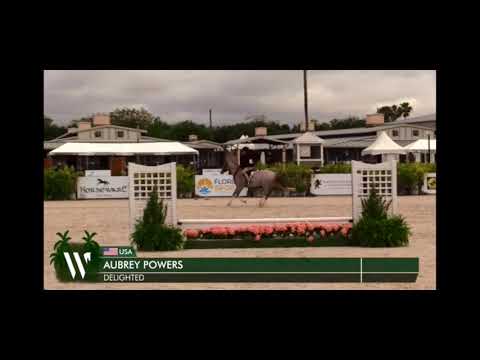 DELIGHTED video 1