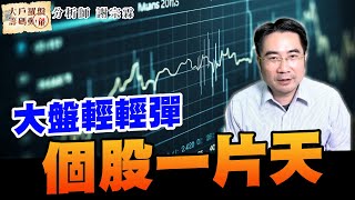 大盤輕輕彈 個股一片天｜大戶羅盤籌碼動能 ｜謝宗霖 (圖)