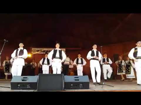 Ansamblul Folcloric "Zărandul"- Suită din Banatul de munte