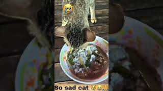 Download lagu 😭😭😭so sad 😢 mp3 Download lagu 😭😭😭so sad 😢 mp3