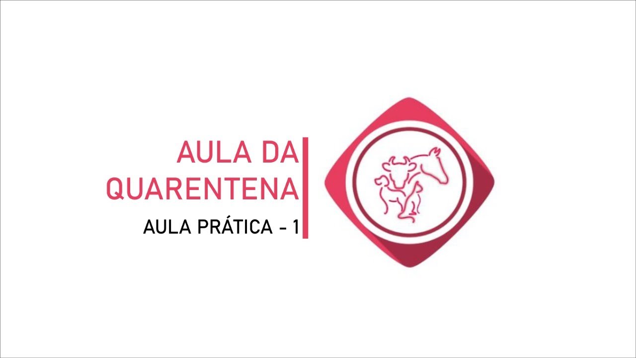 CRÂNIO DE EQUINO