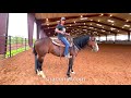 Tuesday Tip Building Your Barrel Horse's Hind Quarters Muscle Group