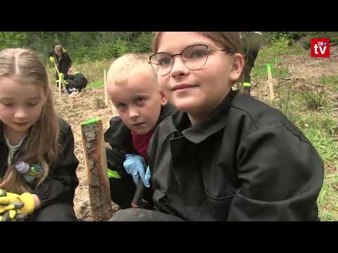 Powiat Limanowski. Informacje (1 - 7 maja). Podsumowanie wydarzeń tygodnia