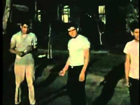 Hi-Strung Ramblers - All That I Need