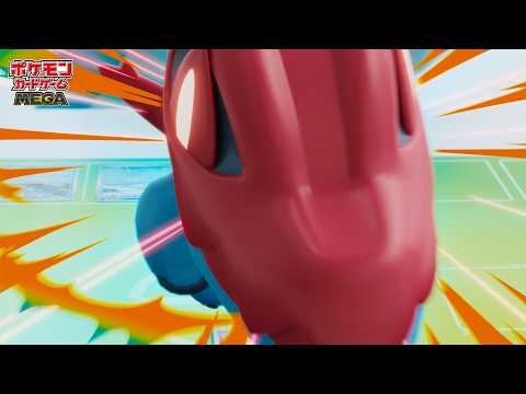 ڸۥݥ󥫡ɥ֥ȥǥå100 Хȥ륳쥯