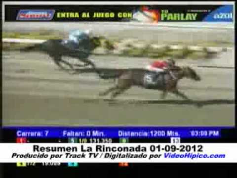 Resumen La Rinconada 01-09-2012