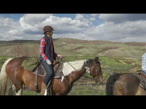Ride into a Colorado National Forest from a Historic Dude Ranch