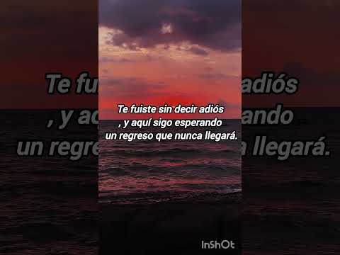 Te fuiste sin decir adiós, y aquí sigo esperando un regreso que nunca llegará.