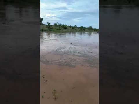 riu de diamante PB #RegistroDevida