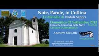 preview picture of video 'Fabio Bellinaso Sindaco di Cuccaro Monferrato (Al) Note, Parole, in Collina / RadioGold AL'