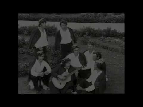 Klapa Murter  - U đardinu