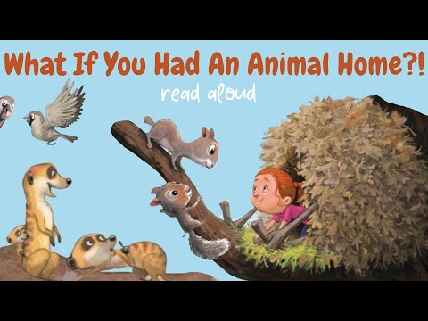 What If You Had An Animal Home 🏠🐝🐿️🦀🕷️🐻🏠 Scholastic Books Read Aloud #animalbook #animals #readaloud