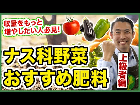 園芸 アフリカナス、紅ナス、ビタートマト