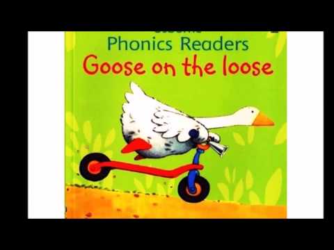 GOOSE IS ON THE LOOSE (BOOK) KIDS READING