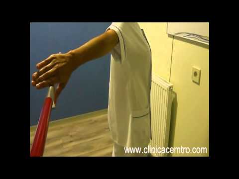 Biceps braquial
