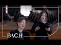 Bach Motet O Jesu Christ Meins Lebens Licht BWV 118 Netherlands Bach Society