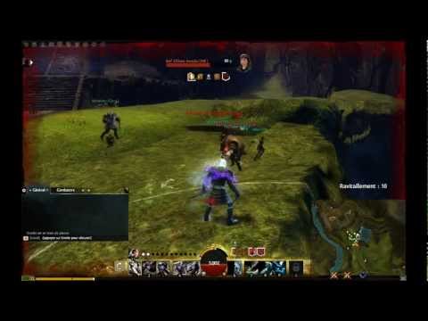 comment participer a la beta de guild wars 2