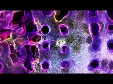 Sun Dawei - 拂曉 Fú Xiǎo (Visualizer)