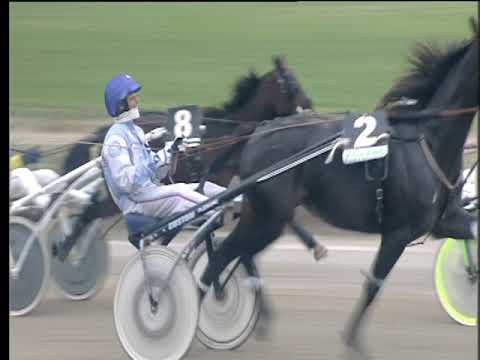 Trotto 24/11/2017 - 1ª corsa