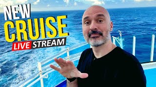 Solo Cruise Q&A Live from MSC Meraviglia