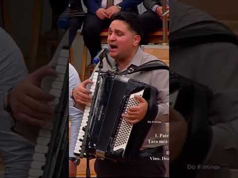 Frații Strugariu #music