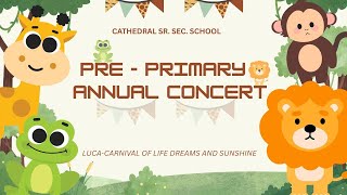 Cathedral Senior Secondary School Video