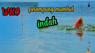 Download lagu WKO Terbaru spot pelembinatur pelampung mumbul indah mp3