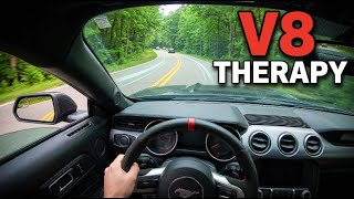 2022 Mustang GT ➝ Pure V8 Engine Note on The Snake- POV Drive