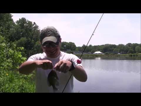 Bluegill and Bass Fishing (Part 2)