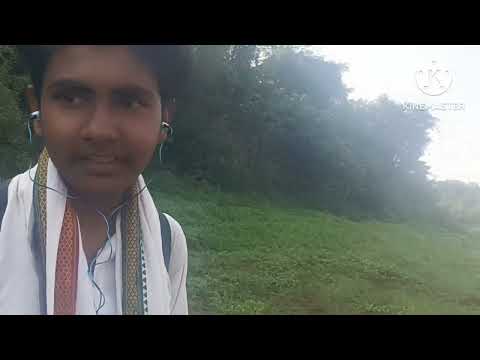 Narmada🏞️Parikrama🌊 🙏🙏 l Mahadev pipariya se gararu ghat tak🚶🏻‍♂️🚶🏻‍♂️ l