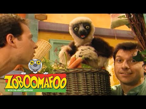 Zoboomafoo with the Kratt Brothers! BEARS | Full Episodes Compilation
