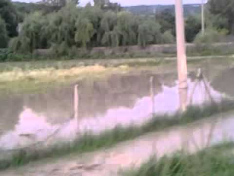 Inundatii dezastruase in comuna puiesti vaslui