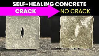 Self-Healing Concrete Fills Any Cracks That Form | Future Technology & Science News 102