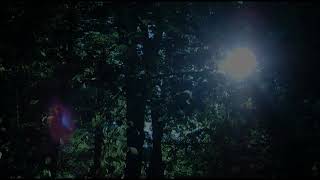 Mercury Rev - Moving On [Official Video]