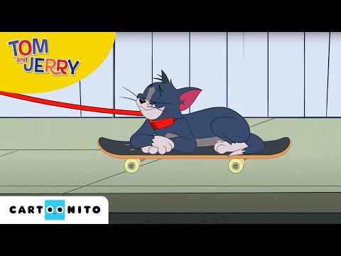 Tom und Jerry | Gassigehen | Cartoonito