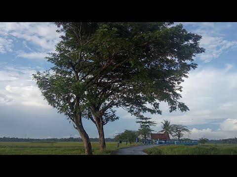 pesona Desa Karangjati