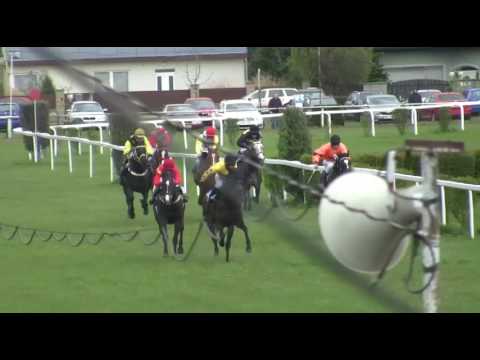 Dostihy Brno-Dvorska 22.4.2017 6. dostih