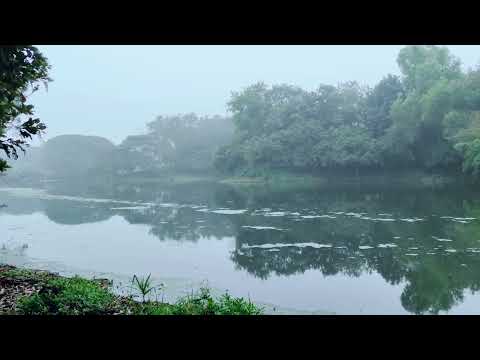 ভিডিও প্রিভিউ ভিডিও