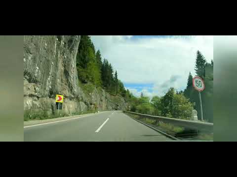 Pornim la drum spre Toplița, un loc de poveste din inima Munților Călimani. 🚙🌲